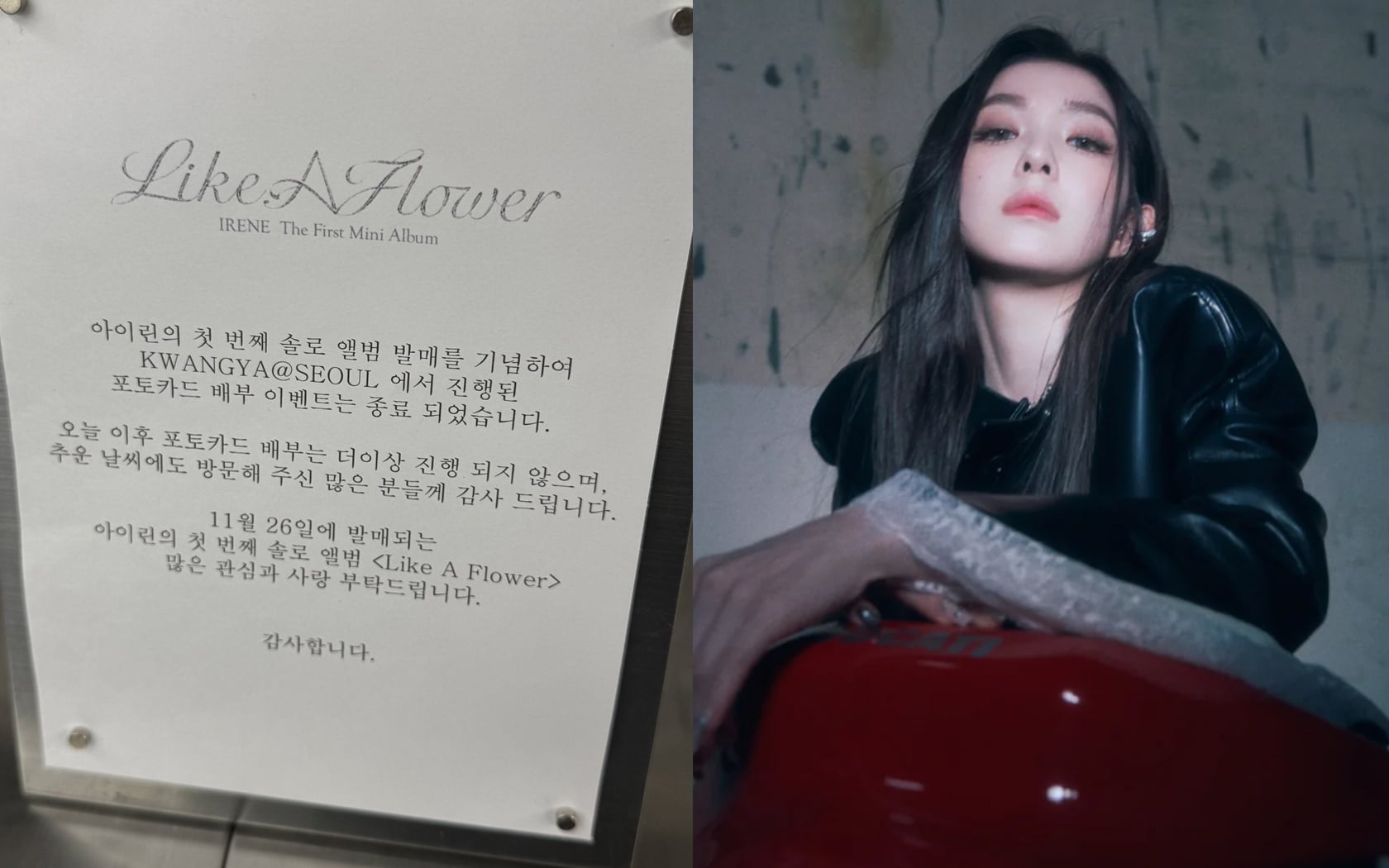 Irene Red Velvet memenangkan hati penggemar dengan segera menyelesaikan masalah ini melalui acara photocard gratisnya