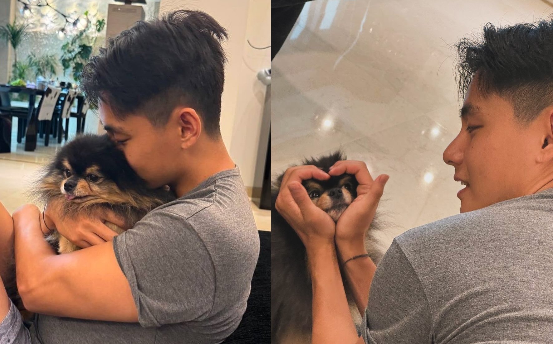 BTS V menyampaikan penghormatan yang tulus atas meninggalnya anjing peliharaan kesayangannya, Yeontan BTS V menyampaikan penghormatan yang tulus atas meninggalnya anjing peliharaan kesayangannya, Yeontan