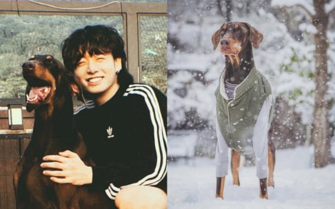 BTS, Jungkook