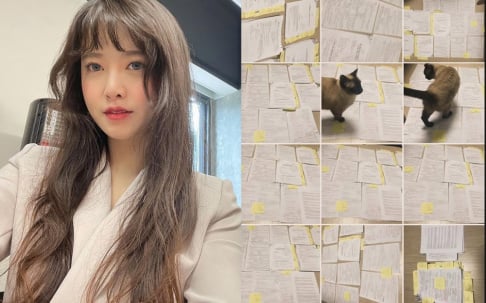 Goo Hye Sun