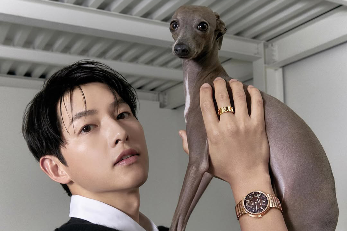 Netizen membahas terbatasnya peran utama Song Joong Ki dalam drama meski sudah 15 tahun menjadi bintang top Netizen membahas terbatasnya peran utama Song Joong Ki dalam drama meski sudah 15 tahun menjadi bintang top