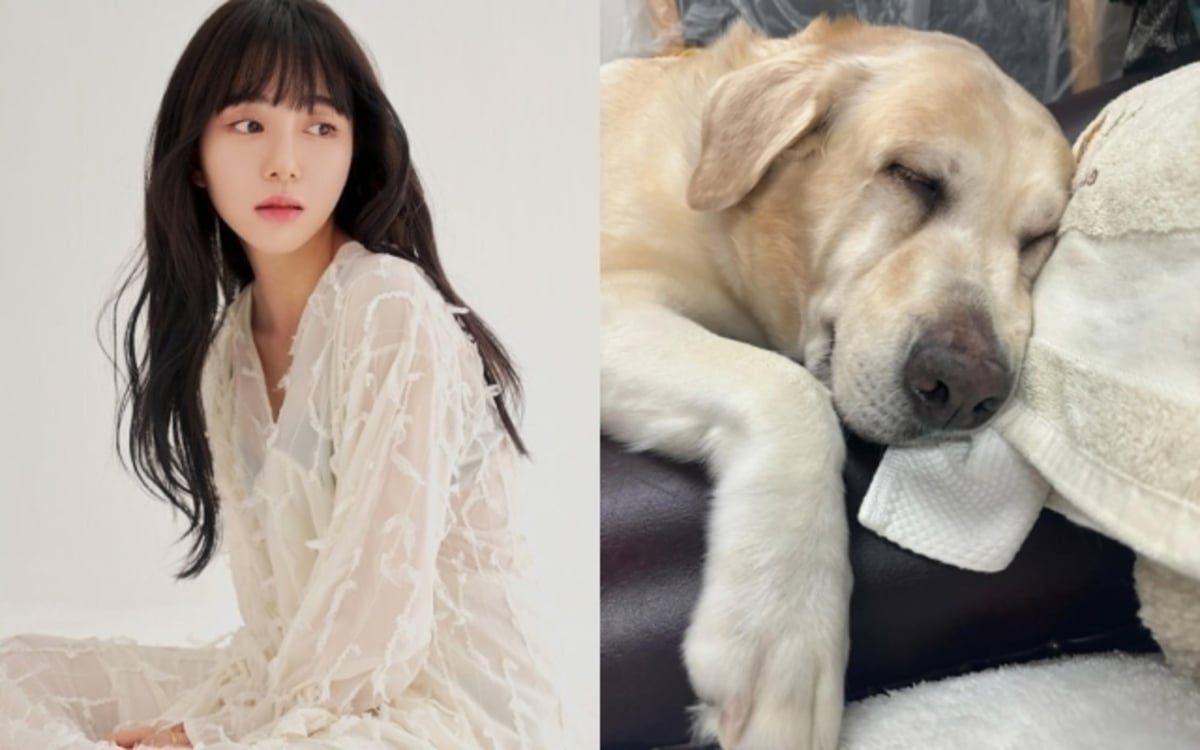 Mantan Anggota AOA, Kwon Mina, membagikan kabar terbaru yang memilukan setelah anjingnya didiagnosis menderita kanker dan mengumumkan karier baru