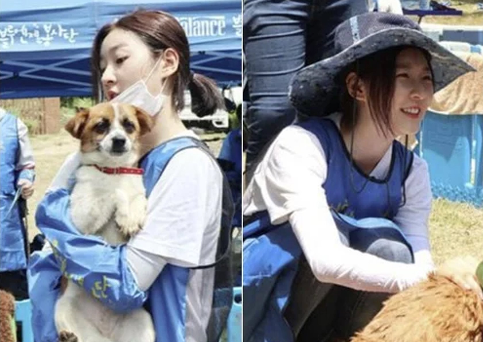 Almarhum Kim Sae Ron terus menunjukkan cinta pada hewan yang ditinggalkan meskipun ada kritik keras