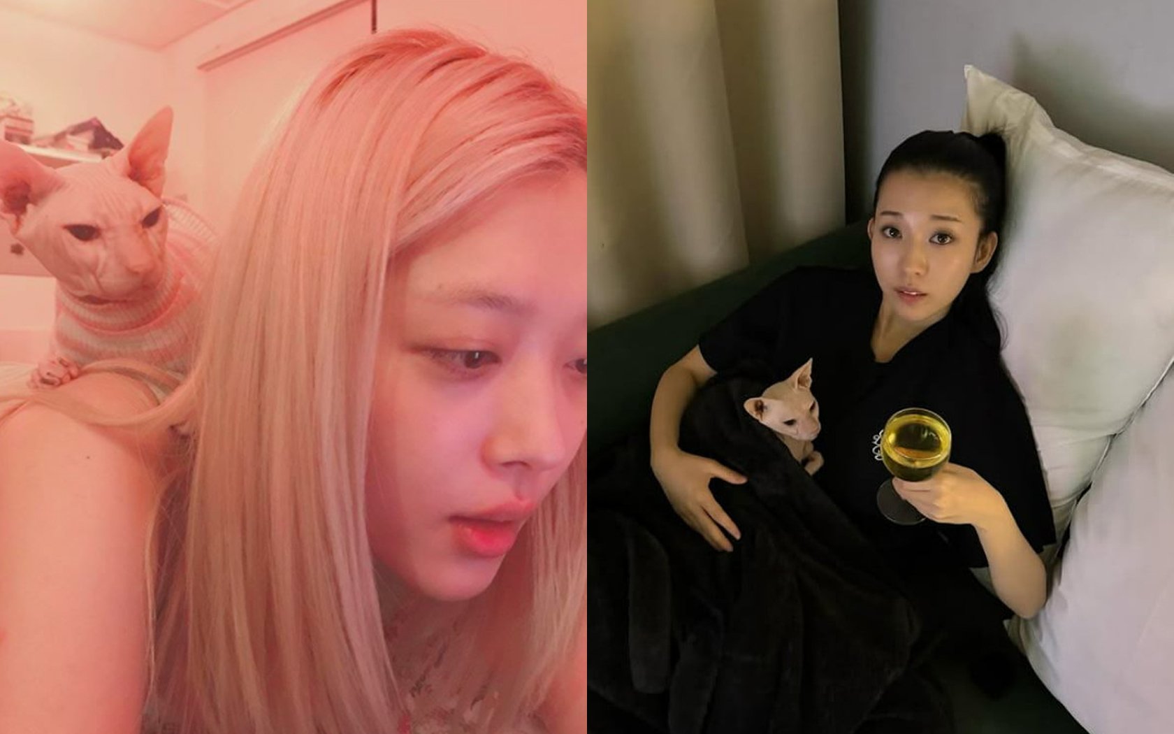 Kim Sun Ah memberikan pembaruan tentang kucing Sulli yang terlambat
