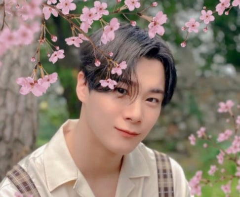ASTRO, Cha Eun Woo, Moonbin, Seventeen, Seungkwan