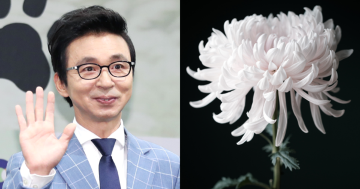 Kim Gook Jin meratapi kematian ibu dengan istri Kang Susie
