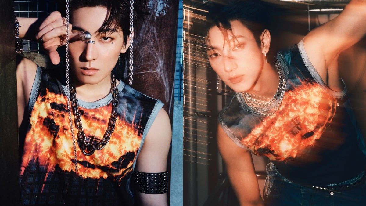 Netizen mendiskusikan kesamaan antara foto konsep Seventeen & Vanner