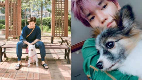 BLACKPINK, BTS, EXO, GOT7, Kim Chung Ha, TWICE, TXT