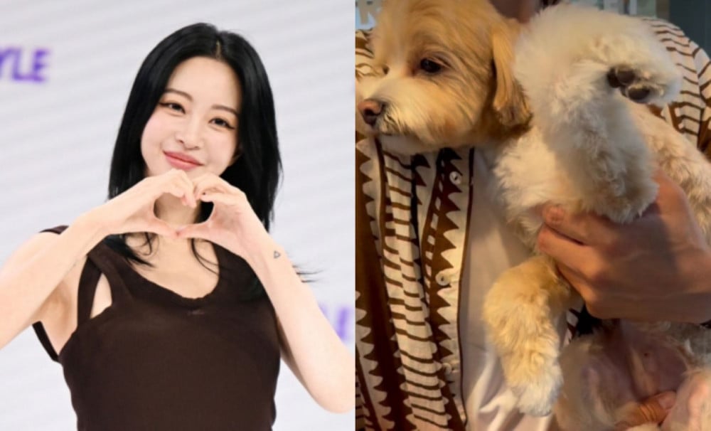 Anjing Han Ye Seul Patah Kaki di Hotel Hewan, Aktris Syok