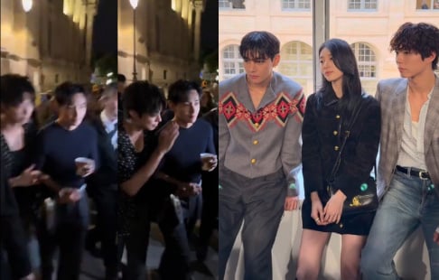 BTS, V, Suzy, Park Bo Gum