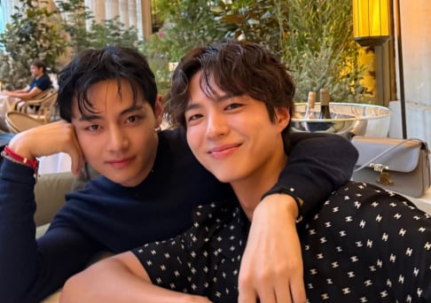 BTS, V, Park Bo Gum