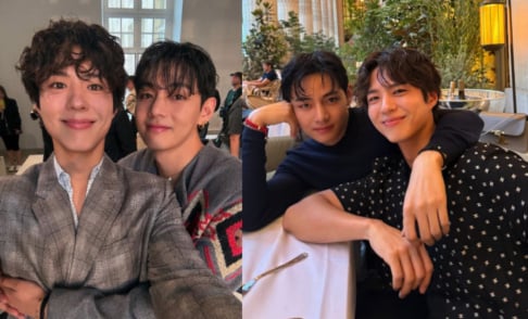 BTS, V, Park Bo Gum