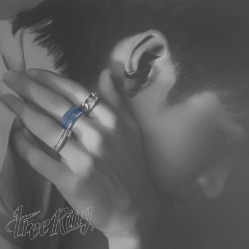 INFINITE, Woohyun
