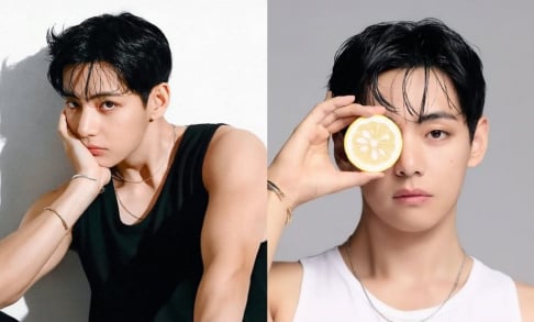 BTS, V