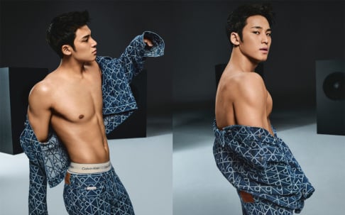 Seventeen, Mingyu