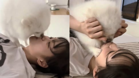 LE SSERAFIM, Kim Chaewon