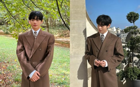 BTS, V