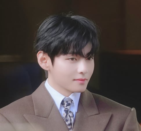 BTS, V