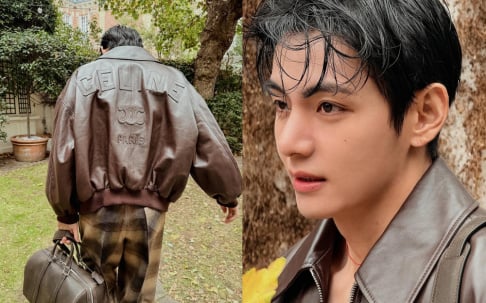 BTS, V