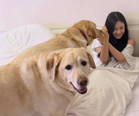 aespa, Ningning, ALLDAY PROJECT, Annie