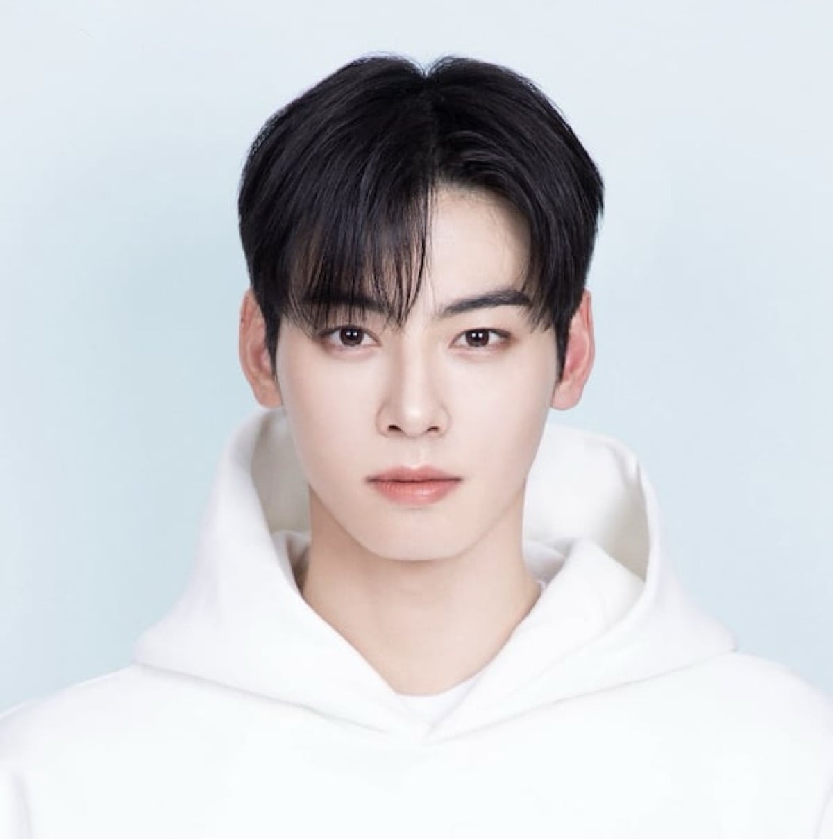 Fashion brand sets Cha Eun Woo campaigns to private following tax controversy