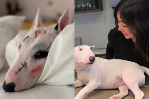 Lee Hye Young, misc.