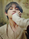 CELINE Boy' BTS's V (Kim Taehyung) Exudes the Perfect Boyfriend Look  Wearing Casual CELINE Fashion