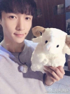 thatchinasheep